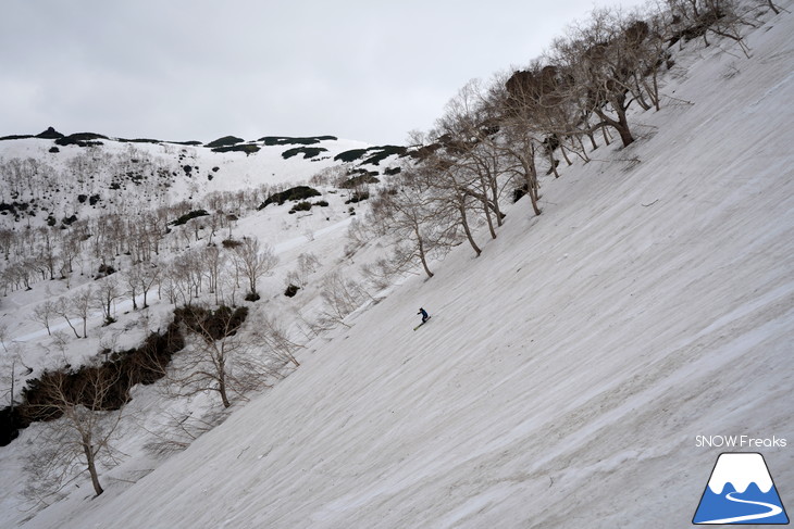 大雪山旭岳ロープウェイスキー場　カムイミンタラ『神々の遊ぶ庭』で春を楽しむ！